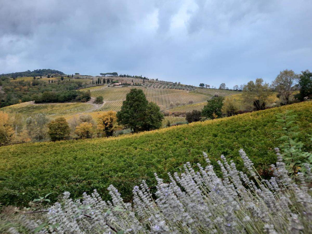 Villa Del Sole San Gimignano Exterior foto